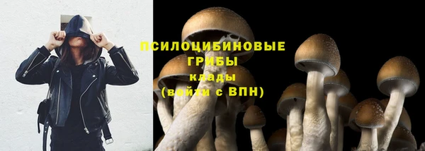 СК Переславль-Залесский