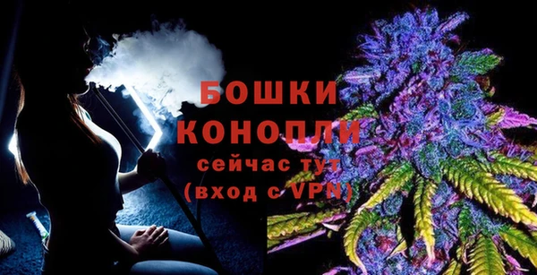 ГАЛЛЮЦИНОГЕННЫЕ ГРИБЫ Пестово