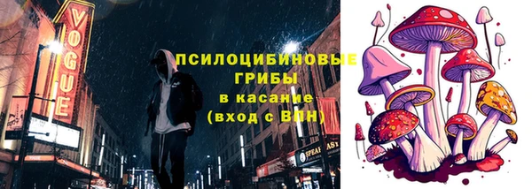 ГАЛЛЮЦИНОГЕННЫЕ ГРИБЫ Абаза