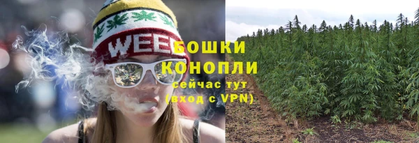 ГАЛЛЮЦИНОГЕННЫЕ ГРИБЫ Пестово